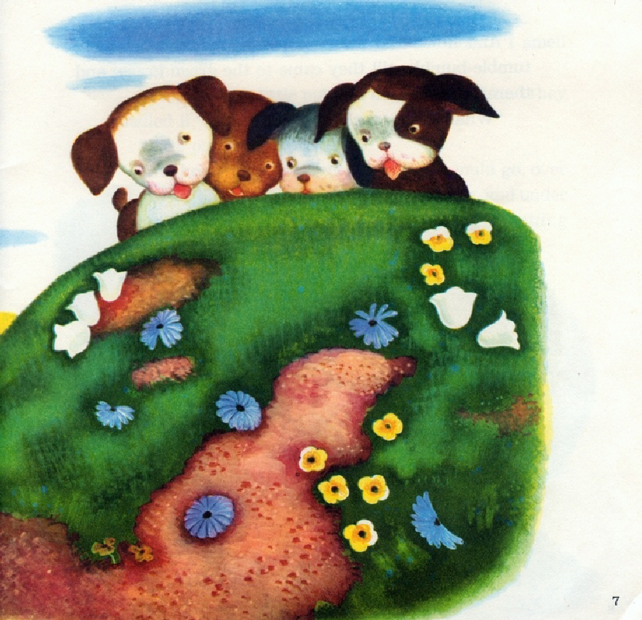 The Poky Little Puppy (09),绘本,绘本故事,绘本阅读,故事书,童书,图画书,课外阅读